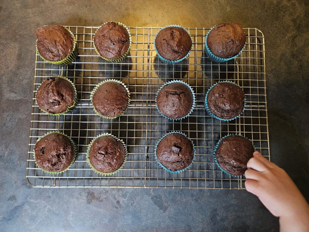 Easy Baked Breakfast of Chocolate Banana Muffins 12 double chocolate banana muffins are shown with a toddler hand pointing at one. These muffins will be enjoyed as an easy baked breakfast.